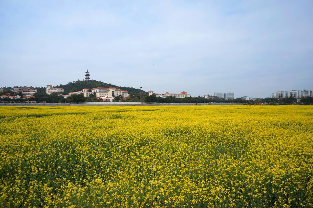 Dongguan Goodview Hotel Sangem Qiaotou Dış mekan fotoğraf